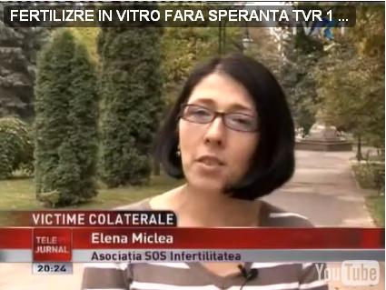 elenatvr elenatvr